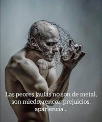 Las peores jaulas